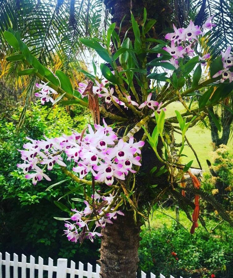Villa Chacara Sonho Meu Pinhalzinho  Esterno foto