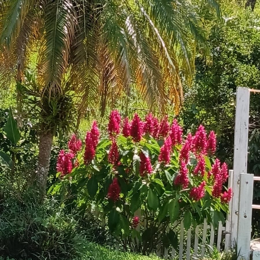 Villa Chacara Sonho Meu Pinhalzinho  Esterno foto