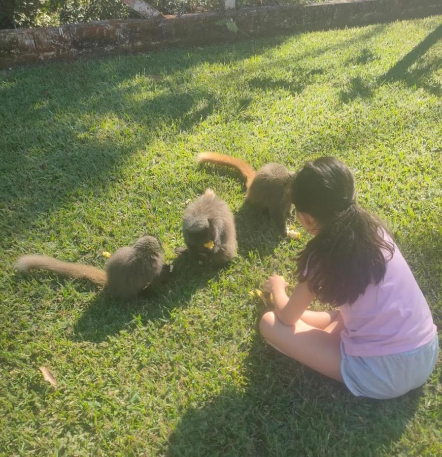 Villa Chacara Sonho Meu Pinhalzinho  Esterno foto