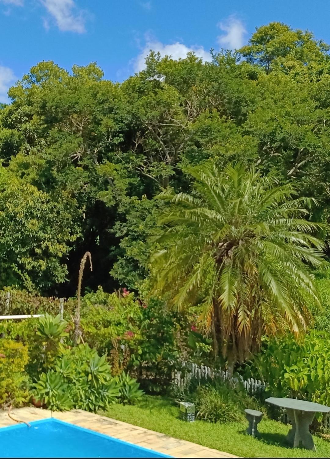 Villa Chacara Sonho Meu Pinhalzinho  Esterno foto